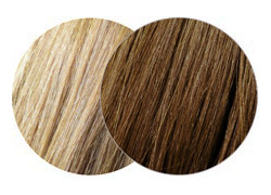 cappuccino brown 2